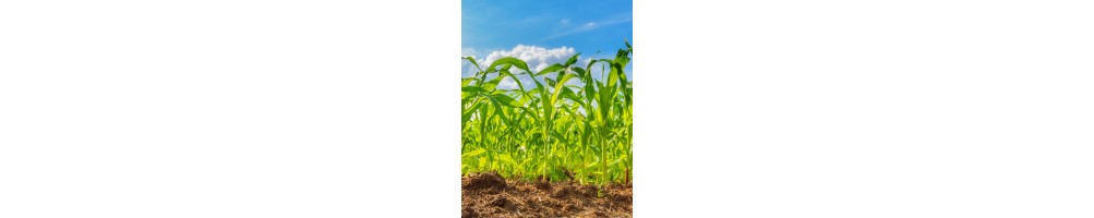 Mierniki do upraw glebowych